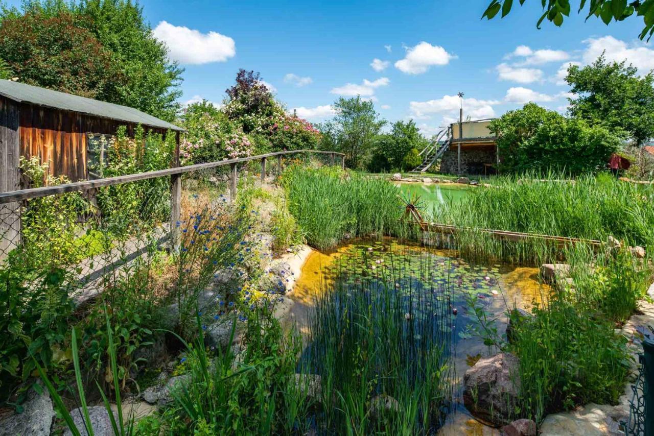 Landhotel Gut Wildberg Майсен Екстериор снимка